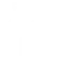 home-icon